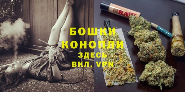 прущие грибы Пестово