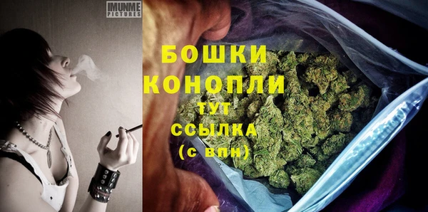 прущие грибы Пестово