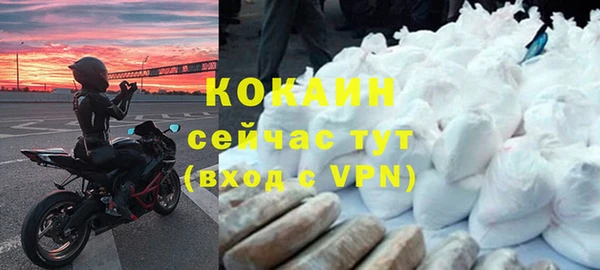 прущие грибы Пестово